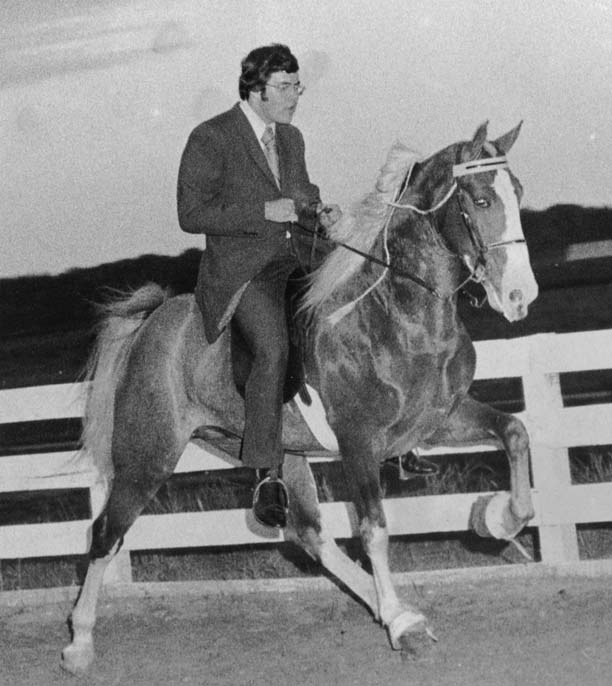 The BEST of Walking Horse Trivia! - Page 11 Sixpackjack-1