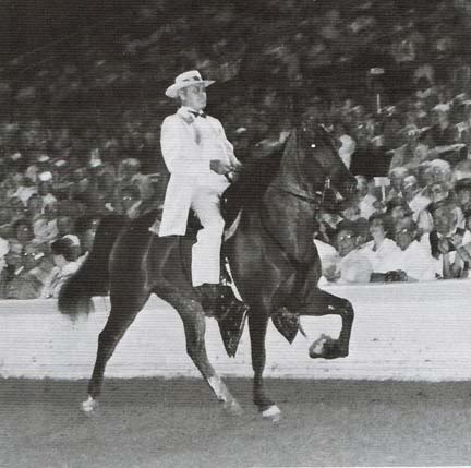 The BEST of Walking Horse Trivia! - Page 15 TomTHall