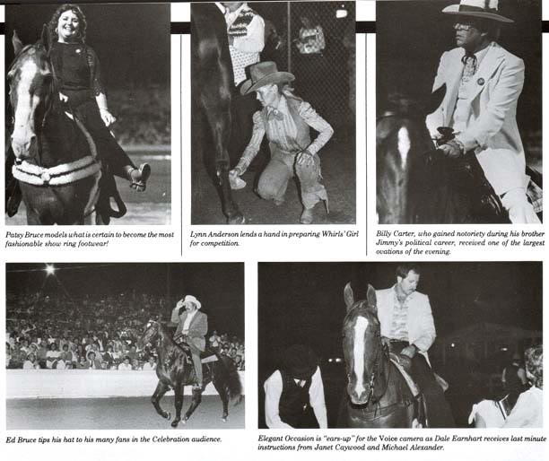 The BEST of Walking Horse Trivia! - Page 15 Celebrities1984