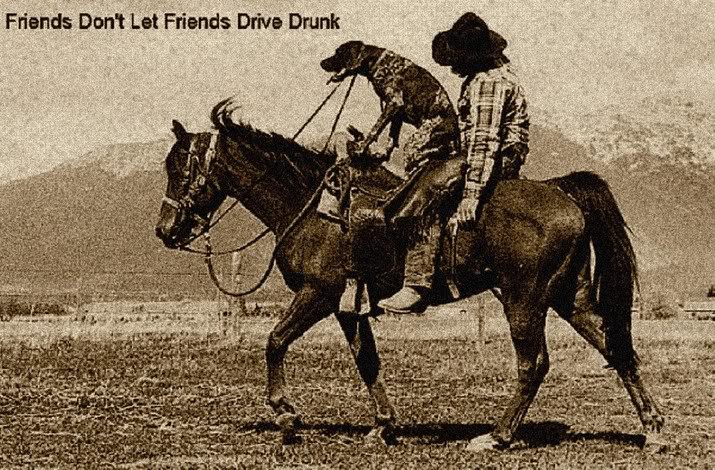 The BEST of Walking Horse Trivia! - Page 11 Drunkrider