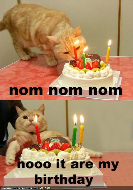 IRC Channel Lolcatsbirthday