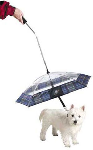 Same old topic .................... Dog-umbrella-leash-1_zps80cccffd