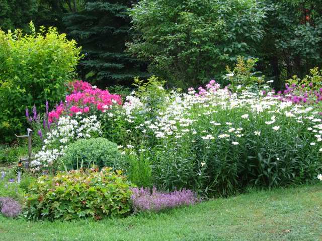 [Jardin de Mimi] 27 juillet, photos d'ensemble Ensemble001