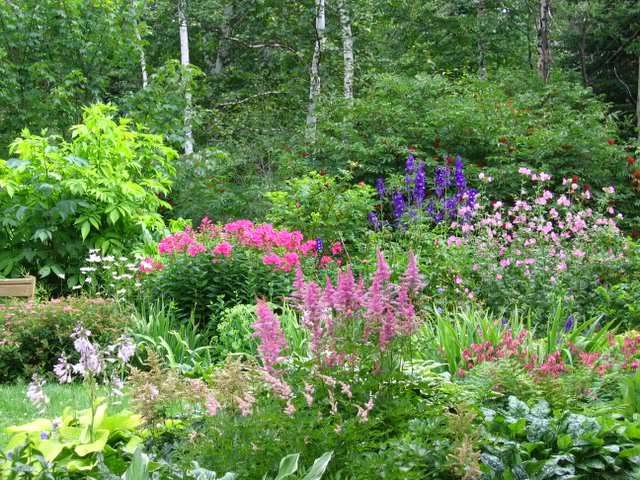 [Jardin de Mimi] 27 juillet, photos d'ensemble Ensemble052