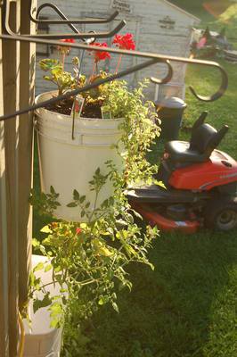 Success of the Topsy Turvey hanging planters. June162010