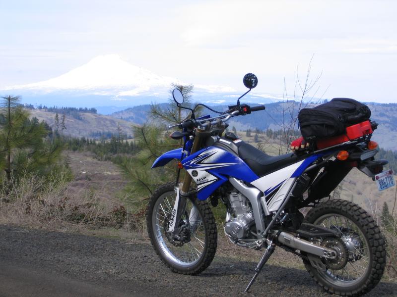 Blackdog's WRR build WR250ROldDallesRoad014