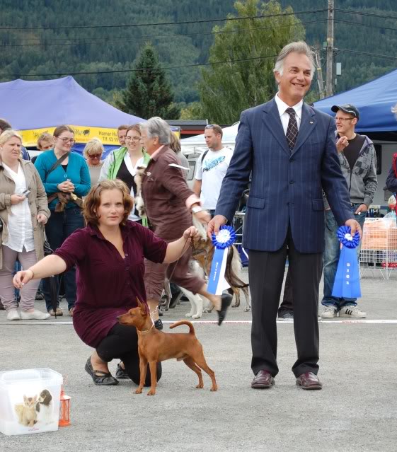 Norsk leonberger klubb, Drammen 28/8 Utstilling069