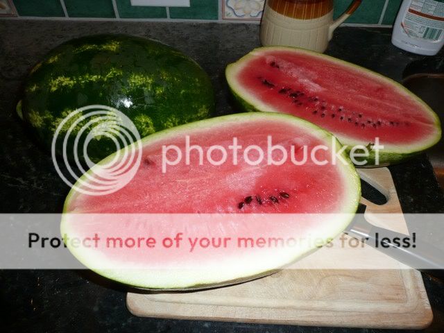 All about food! Watermelon