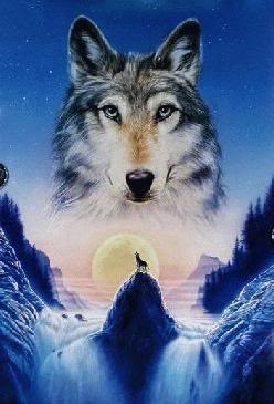 immagini fantasy wolf Fantasywolf