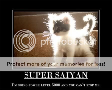 Teh Spam Can - Page 3 SuperSaiyan