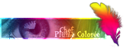 Animatrice & Chef des Plumes Colores