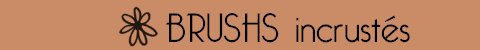 Brush incrusté [Lil'Sunshine]  Brushinc_titre