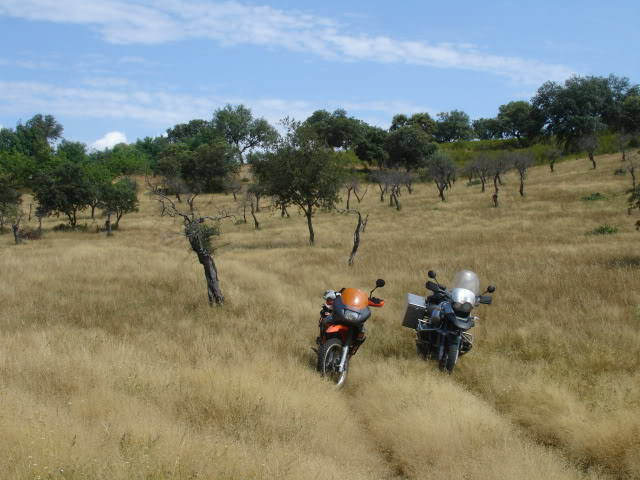 As minhas voltinhas em off-road - Página 2 DSC01277