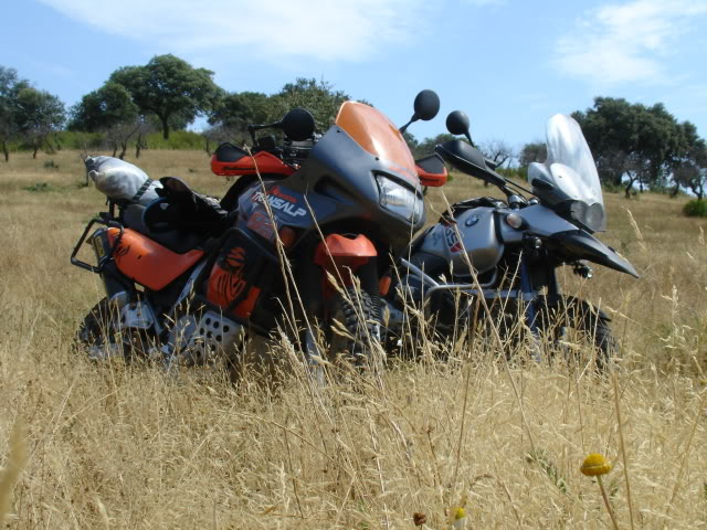 As minhas voltinhas em off-road - Página 2 DSC01278