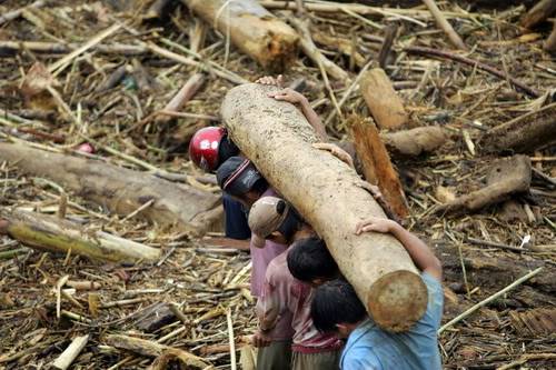 Biến đổi khí hậu - Chúng ta hãy bảo vệ môi trường 380115