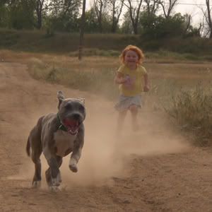 Pit Bulls and Children ACIMG0797