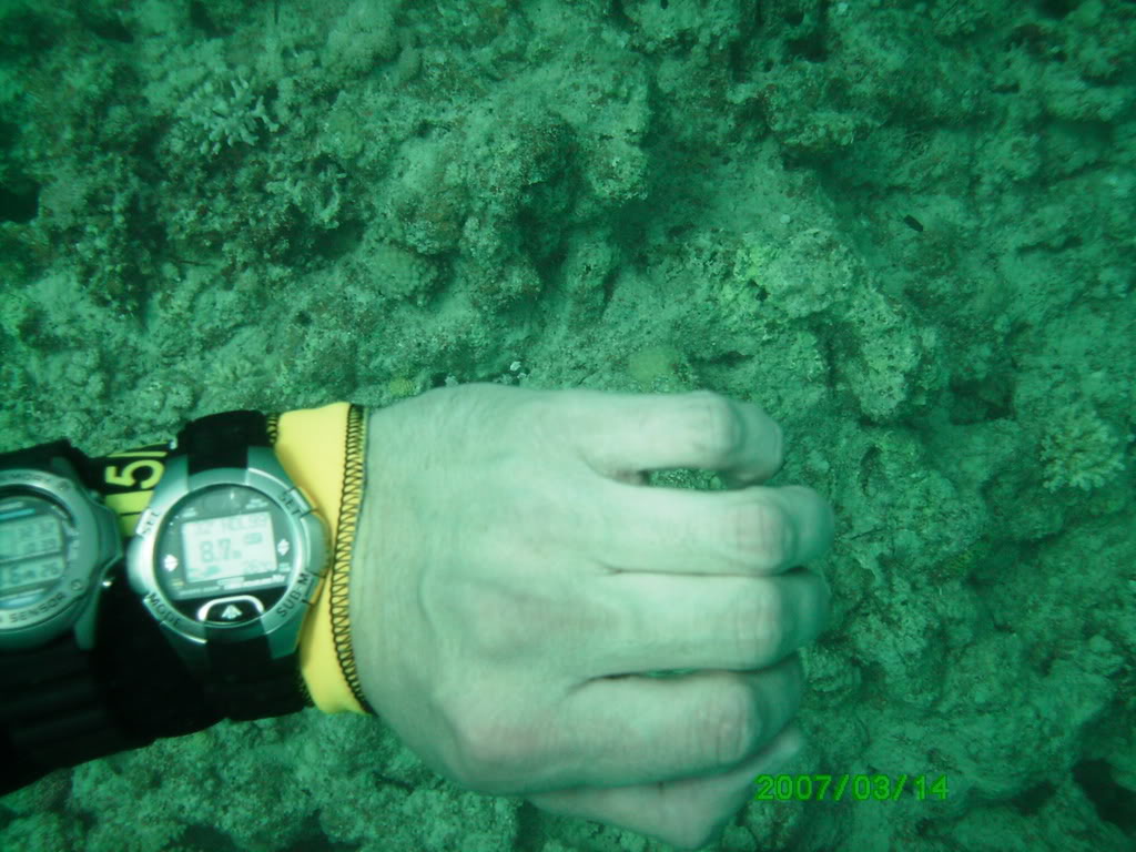 Seiko diving team adventures.... 2 PICT0041