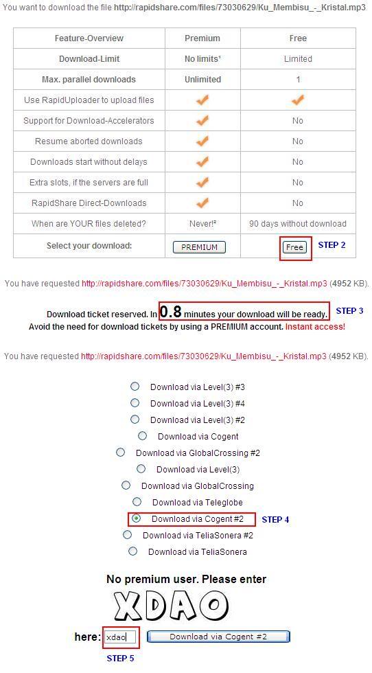 How to Download Download-Rapidshare