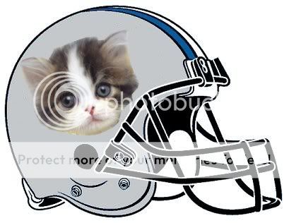 New Lions logo Lionskitten