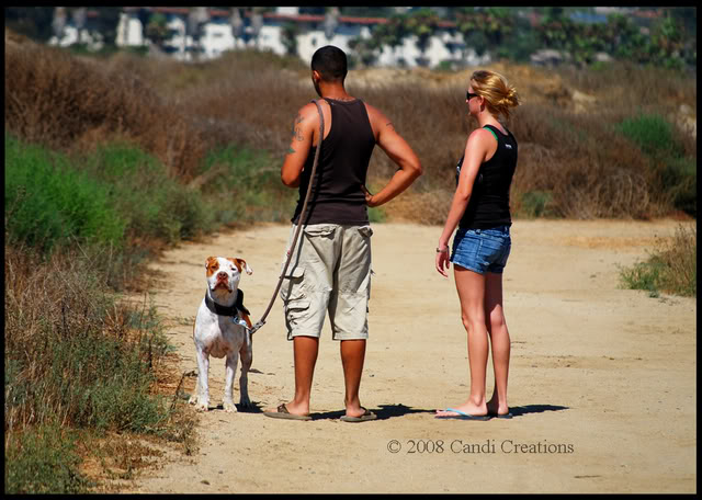 Fiesta Island with Maximus, Mia & Deno Fiestaisland8-9-08287copy