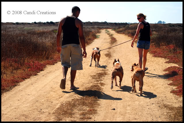 Fiesta Island with Maximus, Mia & Deno Fiestaisland8-9-08368copy