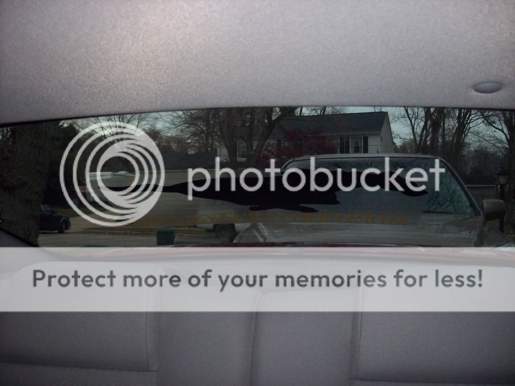 **PIC** Banner/Window Clings are in........ 100_3608