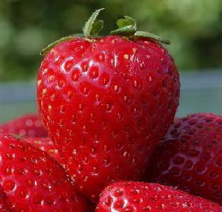 Parodyk man Strawberry