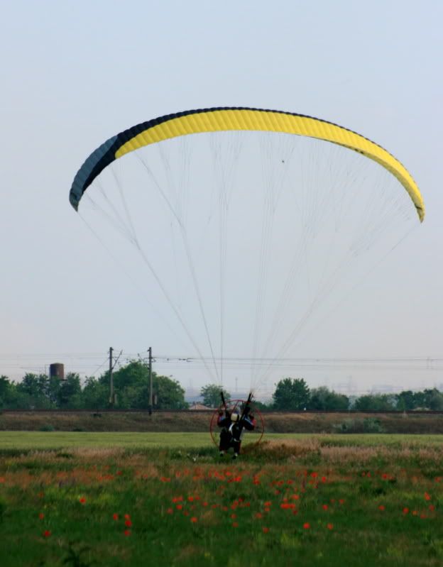 "Bors de peste" la Vadeni Braila 2010 IMG_3362