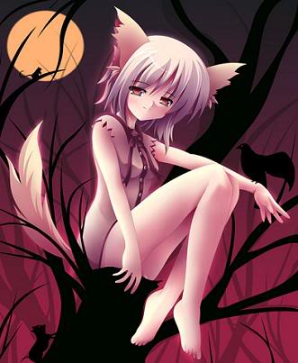 What Do the Inuyasha Characters Think of You?(girls only):D Werewolftreehuggergirl