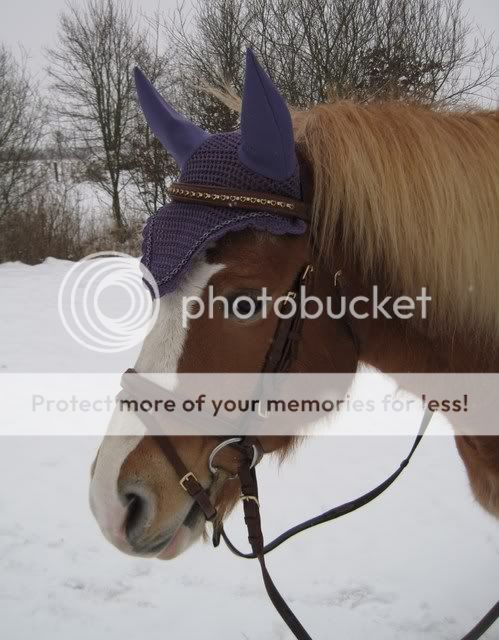 Kollelktionsbilder Camilla-Lavender-Fliegenhaube