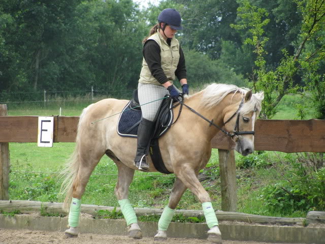 Kollelktionsbilder Stahli-Reiten-summergreen1