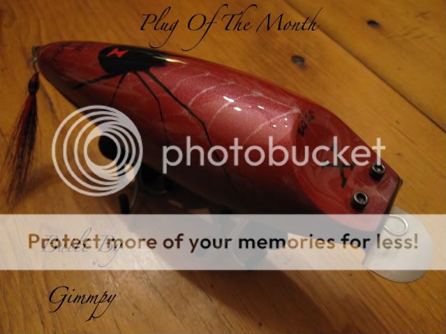  Plug of the month for April entry/vote topic  Cf14deb8-1