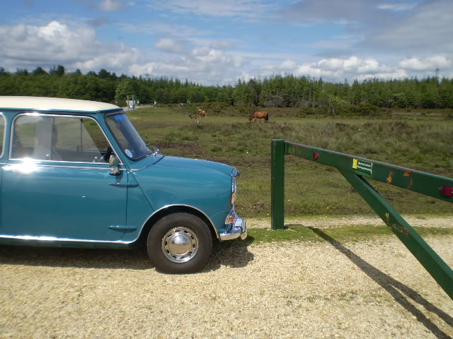 Cooper Register Day Beaulieu 2009 P6130015