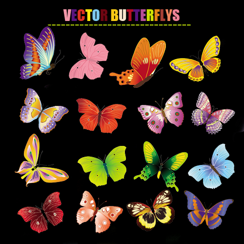 vector butterflys COLORFULVECTORBUTTERFLYPREVIEW