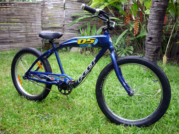 Felt cruiser 2005 speedway habis dimandiin. P1000835