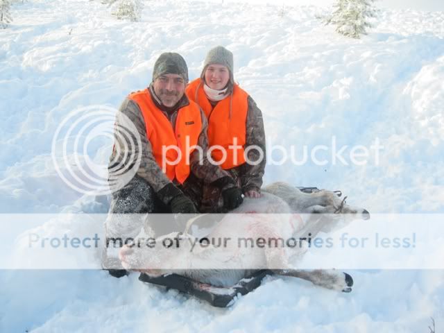 Des caribous pour Noël! AIMG_0147