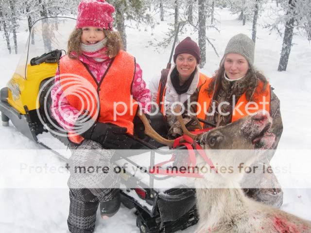 Des caribous pour Noël! AIMG_0162