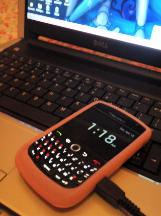 blackberry P4180020