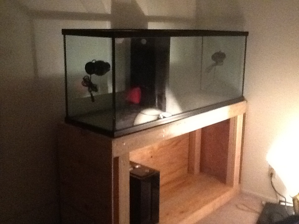 New tank thread 115 gallon Image-25