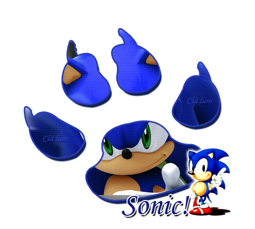 Pergunta ao cla! TESTE DE PATENTE Sonic