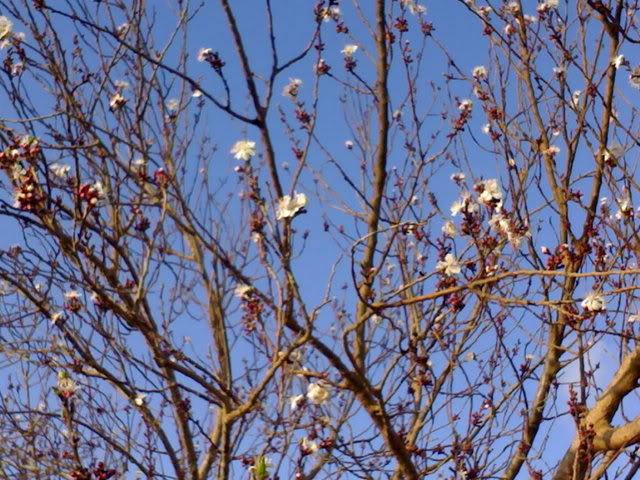 Libya - It's nature & culture 20080302704