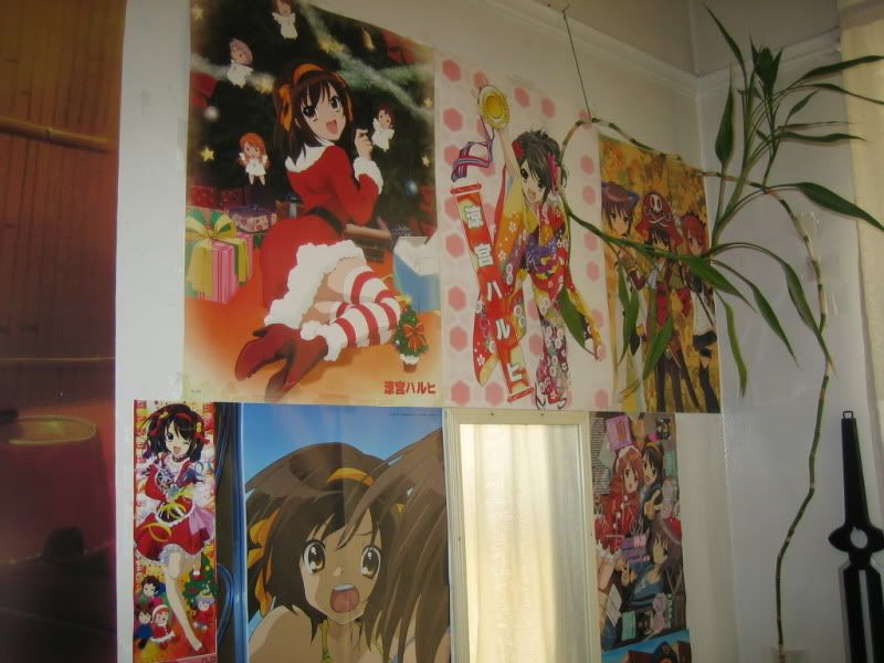 My Awesome Haruhi room/stuff IMG_2137