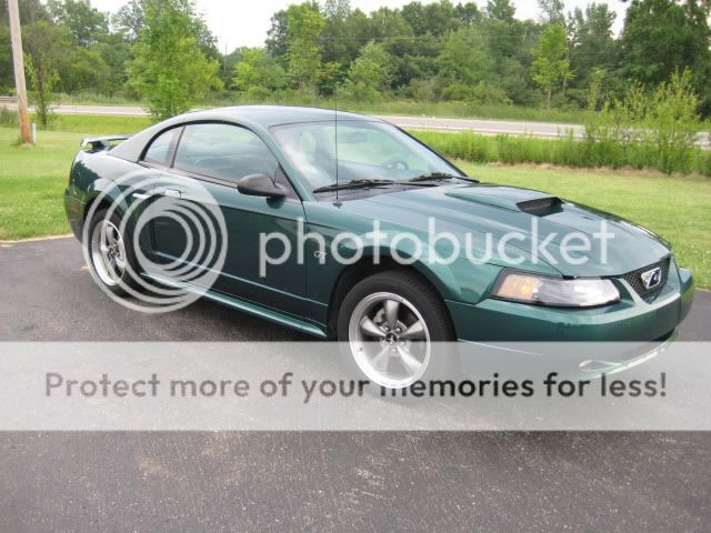 2003 Metallic Green GT *Pix* Mustang2