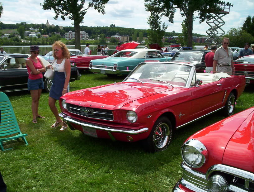 Plusieurs photos : Ford Mustang ...de 1969 à 1973 100_4967