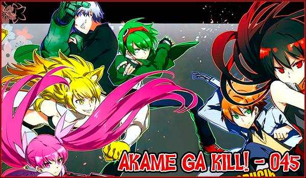 Akame Ga Kill! - 45 Agk045for_zps82de1fae