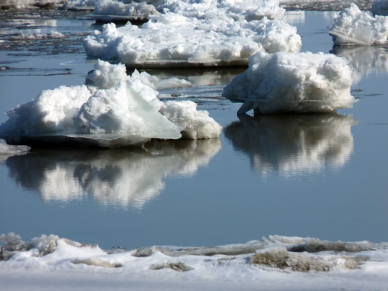 Les reflets... MARS2012013