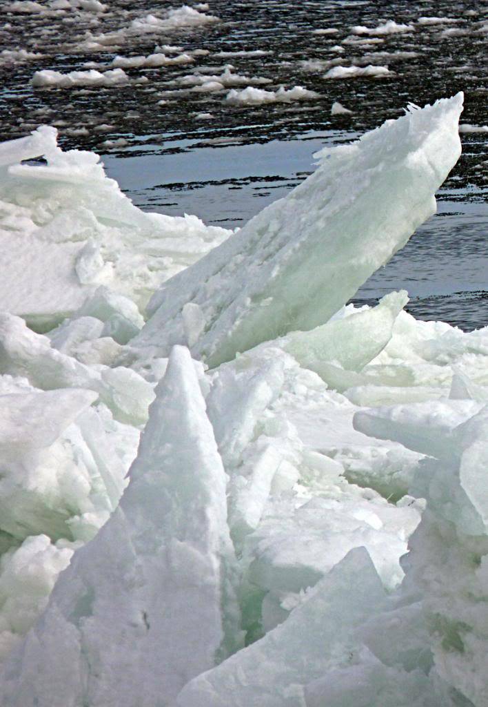 Les plaisirs de l'hiver au Québec... JanvierFeacutevrierMars13061