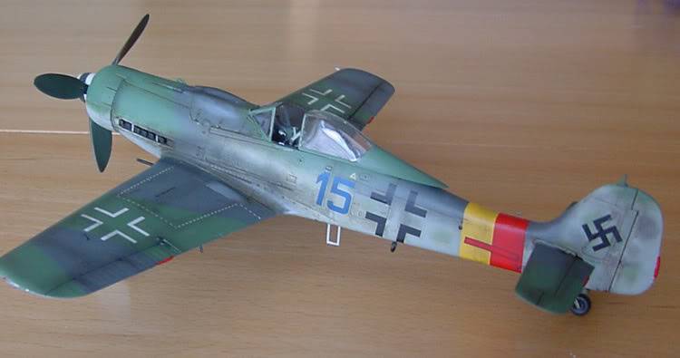 Quelques kits au 1/48 Focke19