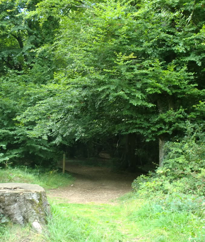 Cranham Circular Walk, Gloucestershire CIMG9082-1