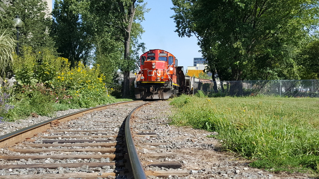 Canada, VIA Rail 20160916_113912